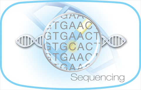 GE Sequencing